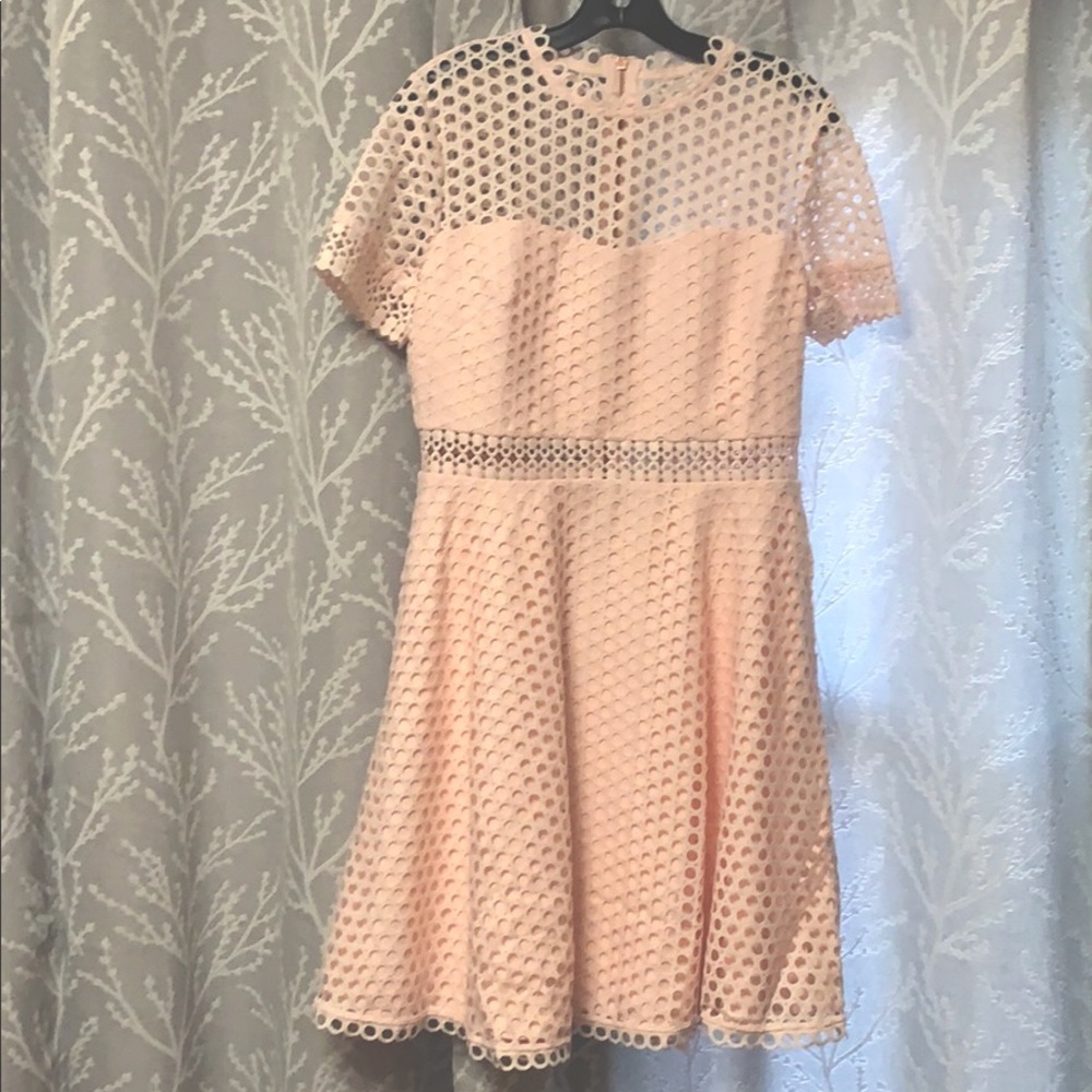 Ted Baker skater dress (TB size 4 / US 10).